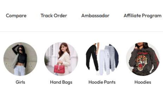 build shopify store design, redesign shopify website, shopify dropshipping store